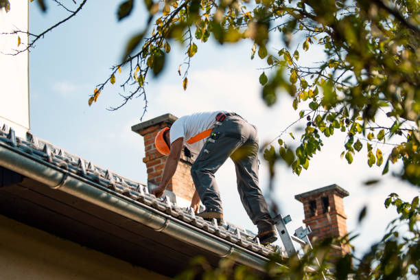 Best Rubber Roofing (EPDM, TPO)  in Vandalia, OH