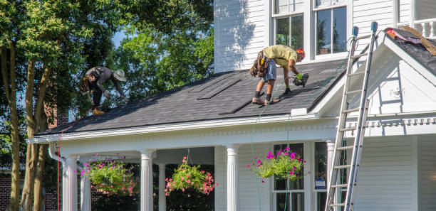 Best Roof Moss and Algae Removal  in Vandalia, OH